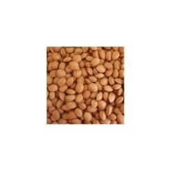 Almendro Marcona -Suministros De Jardineria Ventas 2024 almendro marcona 2