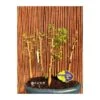 Bonsái Bosque Pseudolarix -Suministros De Jardineria Ventas 2024 bonsai bosque pseudolarix