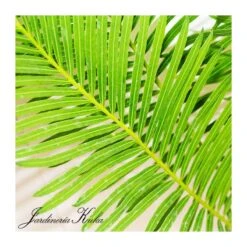 Cyca Media -Suministros De Jardineria Ventas 2024 cyca media 2