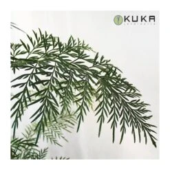 Grevillea Robusta EJEMPLAR -Suministros De Jardineria Ventas 2024 grevillea robusta 6