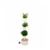 Jardin Vertical Citysens TERRA Xx Blanco -Suministros De Jardineria Ventas 2024 jardin vertical citysens