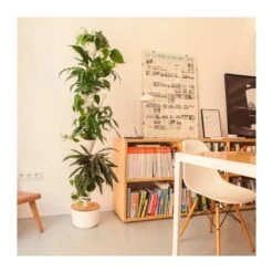 Jardin Vertical Citysens SMART Xx Blanco 12 Jardin Vertical Citysens SMART Xx Blanco -Suministros De Jardineria Ventas 2024 jardin vertical citysens smart 4