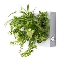 Jardín Vertical Live VITHAL GARDEN Xx Blanco -Suministros De Jardineria Ventas 2024 jardin vertical live vithal garden 1