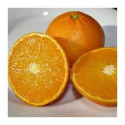 Mandarino Ortanique EJEMPLAR