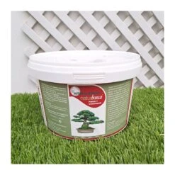 Naturbonsái Pinos Y Coniferas