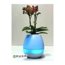 Orquídea Natural Con Música -Suministros De Jardineria Ventas 2024 orquidea natural con musical 4