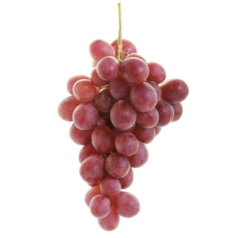 Parra Red Globe 3 Parra Red Globe