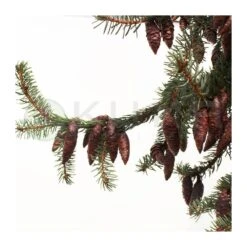 Picea Omorika Nana Pendula -Suministros De Jardineria Ventas 2024 picea omorika pendula 4