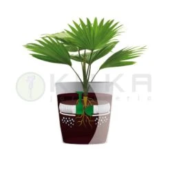 Sistema Autorriego Hydrum 5 Sistema Autorriego Hydrum -Suministros De Jardineria Ventas 2024 sistema autorriego hydrum 1