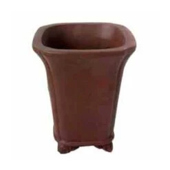 Tiesto Bonsai En Cascada Modelo MINOWA